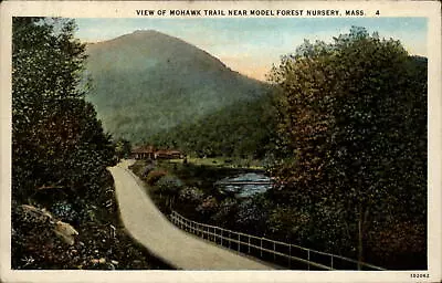 Mohawk Trail Near Model Forest Nursery Massachusetts ~ 1920s Vintage Postcard • $4.21