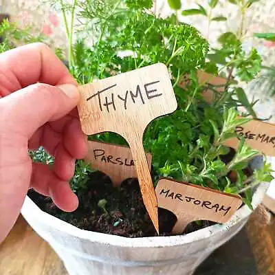 £7.20 • Buy Plant Name Label Bamboo Tag Markers Herb Flower Vegetable Stake Marker Tags Spri