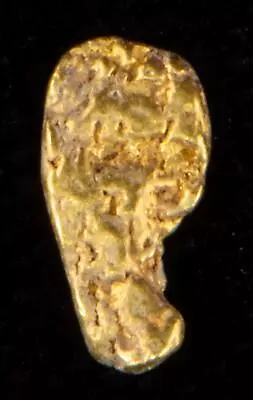 Genuine Calif. Alaska Natural Gold Nugget .25gr 7.06mm X 3.50mm Size • $32.18