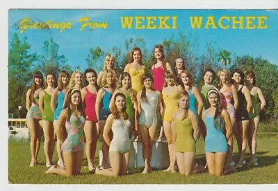 1973 WEEKI WACHEE MERMAIDS Postcard Girls Swimsuits Spring Hill Hernando Cty FL • $12.99