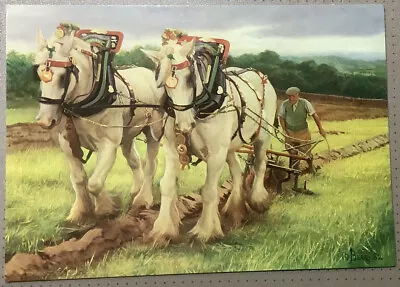 Shire Horses Ploughing Horse Drawn Plough Farming John Berry Art Postcard • £1.99