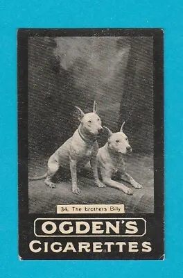 Ogdens Tabs - General Interest ( 1 - 120 ) - No. 34 - The  Brothers  Billy- 1902 • £2.95