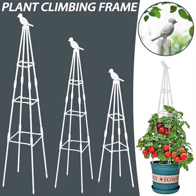 Outdoor Garden Metal Obelisk Climbing Plant Support Frame Trellis Flowers Stalk • £10.55