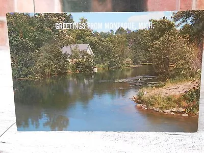 Greetings From Montague Michigan MI Postcard Stream Summer's Day • $4.99