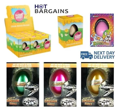£9.96 • Buy Easter Rabbit/ Dinosaur/ Chick Hatching & Growing Egg 6cm In Assorted Randomly