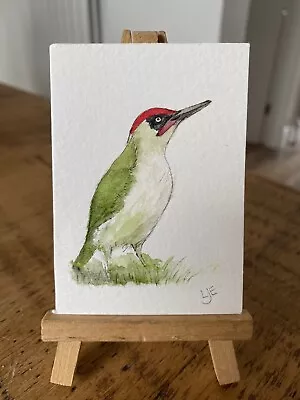 ORIGINAL ACEO Miniature Painting Wildlife/nature: Green Woodpecker By Lisa EVANS • £4.95