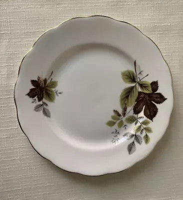 Vintage Queen Anne #8285 Bone China Side Plate Ridgway Potteries England • $20