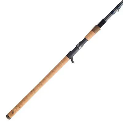 40% Off Fenwick Elite Predator Casting Fishing Rod |Pick Size & Power|Free Ship • $149.95