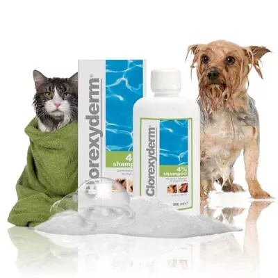 £18.99 • Buy Clorexyderm Dog Shampoo For Itchy Skin Relief Pets With Sensitive Skin 200 Ml