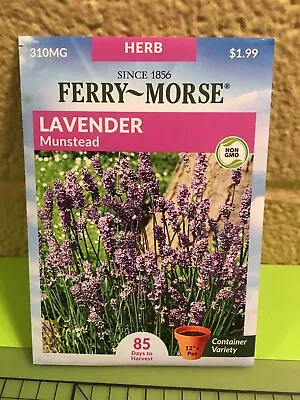LAVENDER Ferry Morris Herb Garden Seeds Munstead Variety For Containers 310 Mg • $1
