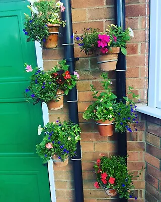 Single Drainpipe Planter / Pot Hanger (6 Pack) • £21.58