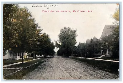 1908 Normal Avenue Looking South Dirt Road Mt. Pleasant Michigan MI Postcard • $14.98