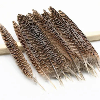 Wholesale Natural Pheasant Tail Feathers 4-14 Inches/10-35cm 10-100pcs • £35.99