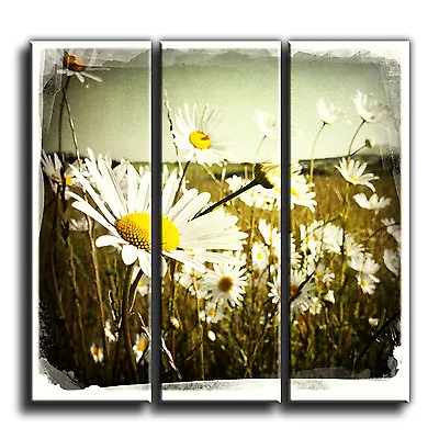 Flower Canvas Floral 3 Panel Wall Art Print Picture 30 PREMIUM QUALITY • £38.49