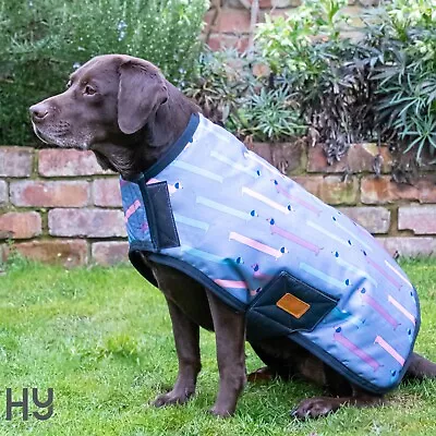 Dog Coat Jacket  Benji & Flo Dorris The Dachshund Dog Coat Waterproof  Lead Hole • £24.50