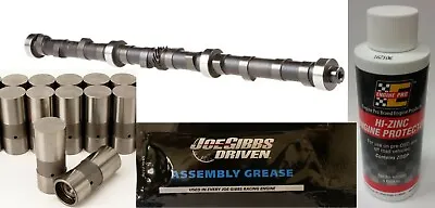 Cam Lifters Kit Camshaft Hydraulic Flat Tappet Fits 4.0L 242ci 1999-06 Jeep AMC • $325.99