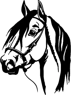 $14.40 • Buy HORSE HEAD SHOW 10  Tall Decal Horses Sticker Car Truck Trailer Window ARABIANS 