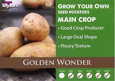 £4.50 • Buy Golden Wonder - Seed Potato - Main Crop - Available In Bags Of 5,10,15