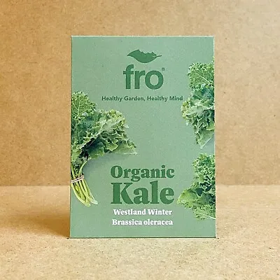 Organic - Kale - Westland Winter - 70 Seeds - Non-gmo - Fast Uk Dispatch ✅ • £1.99