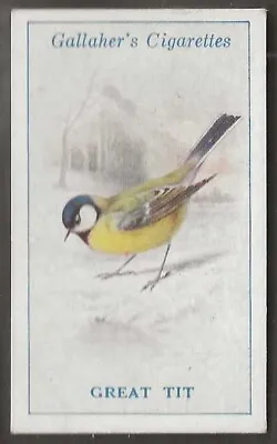 Gallaher-british Birds 1923 (by George Rankin)-#008- Great Tit • £2.99