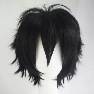 Men Male Short Full Wigs Boys Anime Cosplay Costume Party Synthetic Hair Wig Set • $14.99