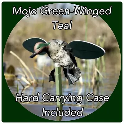 Motorized Green-Winged Teal Mojo Duck Decoy • Brand New • Hard Storage Box • $49.95