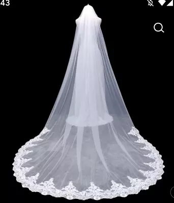 Wedding Veil With Lace Edge Brand New  • £9
