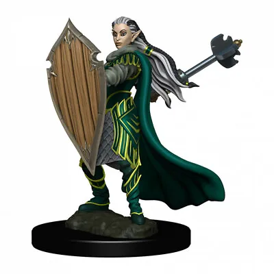 $20.95 • Buy Dungeons & Dragons Premium Female Elf Paladin Pre-Painted Figure
