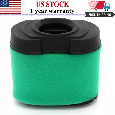 Air Filter Fit BRIGGS STRATTON 792105 407777 40G777 40H777 445667 Cleaner • $8.13