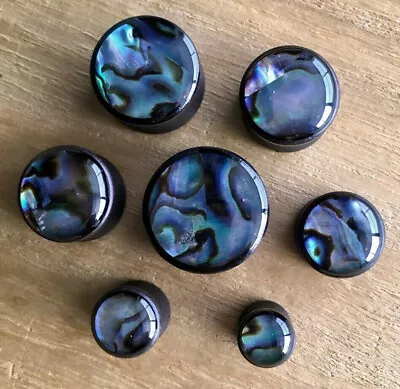 PAIR Abalone Shell Inlaid Sono Wood Saddle Plugs Organic Gauges Earlets • $14.95