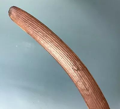 Fine Old Fluted Aboriginal Hunting Boomerang Oceanic Polynesian Australian • $366.79