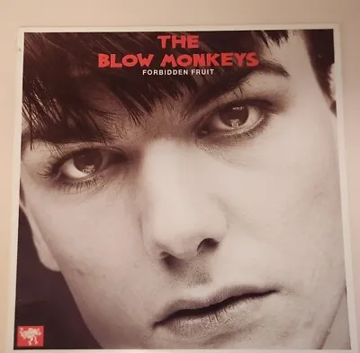 The Blow Monkeys (1985 EP MFL1-8527 VPI Cleaned Playtested) Forbidden Fruit • $16.28