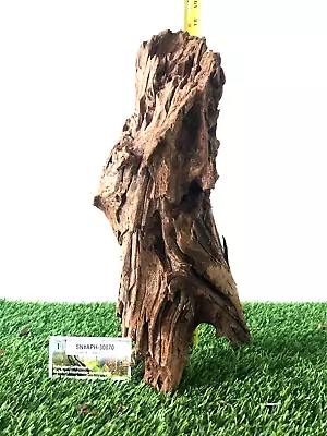 Malaysian Driftwood For Aquarium Fish Tank Reptile Natural Pet Safe -L 16x9x6 • $34.99