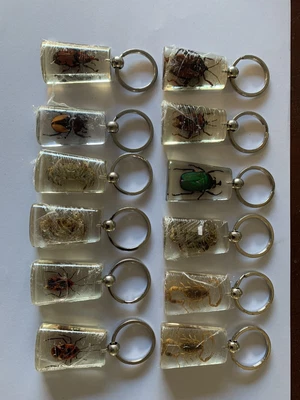 £14 • Buy Job Lot Real Insects In Resin Key Rings 12
