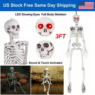 3FT Halloween Prop Skull Posable Skeleton W/ LED Glowing Eyes & Shrilling Sound • $27.86