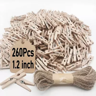 Mini Clothes Pins 260 PCS Small Wooden Clothes Pins With Jute Twine Clothespin • $11.61