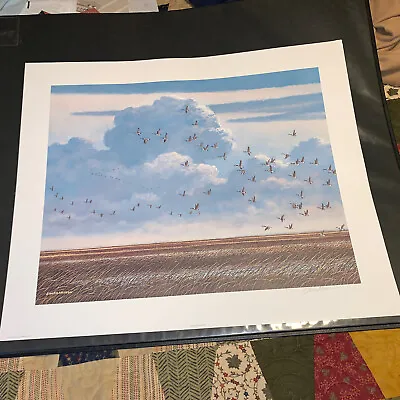 “geese Over Marsh” By Jim Harrison Pencil Signed (350) • $49