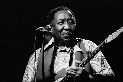Muddy Waters Blues Music Famous #1 Poster Art Wall - POSTER 20x30 • $23.98