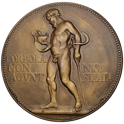 GERMANY Paul Ehrlich Bronze Goetz Medal Medal K-43 / Nobel Prize / Asclepius • $545