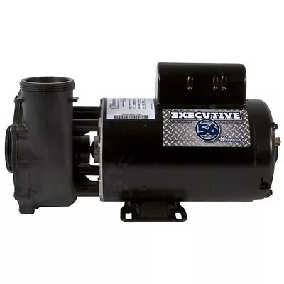 Waterway Executive 56-Frame 4HP Dual-Speed Spa Pump 2in. Intake 2in. • $724.99