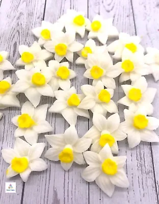 Edible White & Yellow Daffodils Fondant Flowers Cake Toppers Birthday Wedding • £5.49