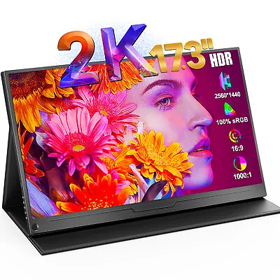 17.3  2K Portable Monitor QHD Screen Type-C HDMI OTG For Laptop PC Mobile Phone • $239.99