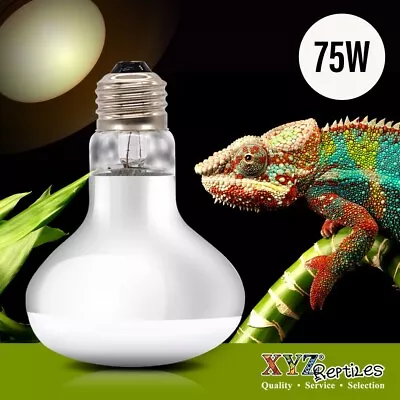 UVA Reptile Heat Lamp 75 Watt Bulb Basking Light XYZReptiles • $9.99