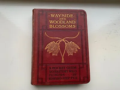 Wayside And Woodland Blossoms A Pocket Guide Edward Step • £20