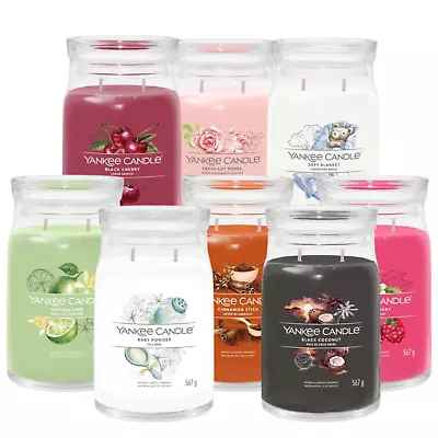 Yankee Candle Signature Large Jar Twin Wick - Various Fragrances Available • £27.99