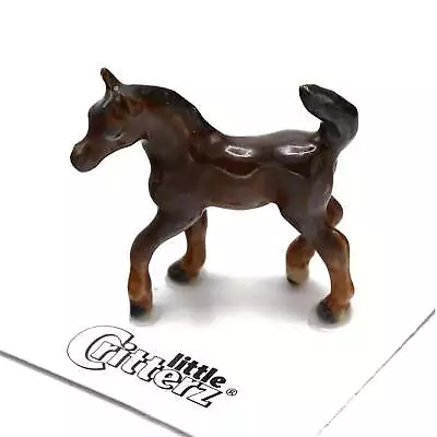 Little Critterz Horse Arabian Colt  Ari  Animal - Miniature Porcelain Figurine • $12.99