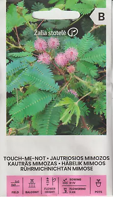 Mimosa Pudica- Touch Me Not- Fun Sensitive Plant-Houseplant Or For Garden • £1.60