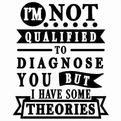 Make Your Own T-shirts!  Iron On Vinyl Decals Custom  I'm Not Qualified  • $7.99