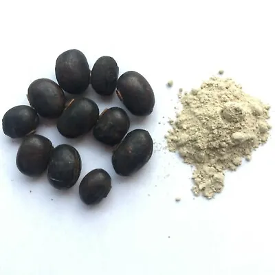 Black Mucuna Pruriens Seed Powder Kauch SeedKanch Beej Powder Free Shipping • $13.99