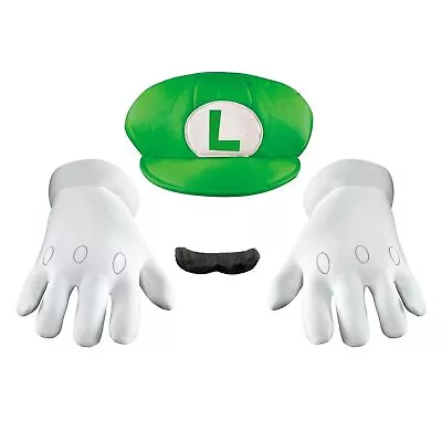 Luigi Super Mario Brothers Adult Costume Kit Accessory Hat Gloves Mustache • $38.76